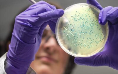 Call for Emerging Scientists