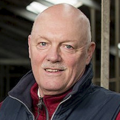 Ad van Velde